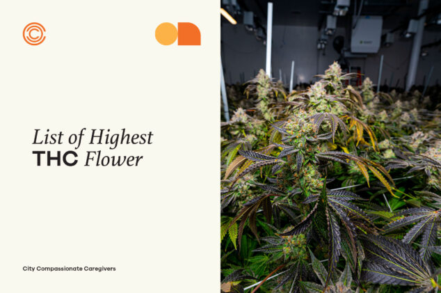 7 Cannabis Strains With The Highest THC Available At City Compassionate Caregivers